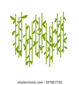 Bamboo background