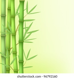 Bamboo Chinese Drawing Printing Vector Illustration Stock Vector ...