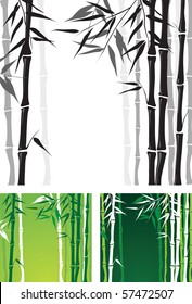 bamboo background in 3 color variants