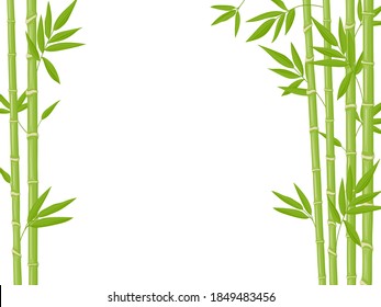 Bamboo background. Asian fresh green bamboo stalks, natural bamboo plant backdrop, stick plants with foliage vector illustration. Natural tree branches with leaves, ecological chinese plants