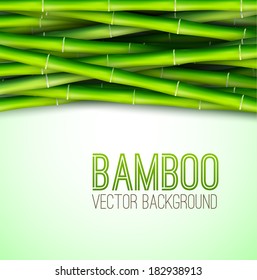 Bamboo  background concept. Vector illustration