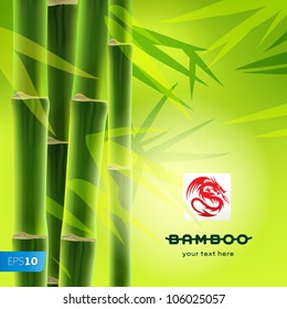 Bamboo background with copy space, vector Eps10 image.