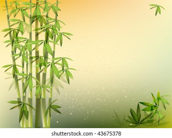 bamboo background EPS 10