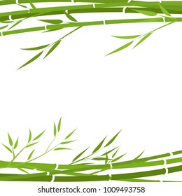 Bamboo Background, Frame, Vector Illustration.