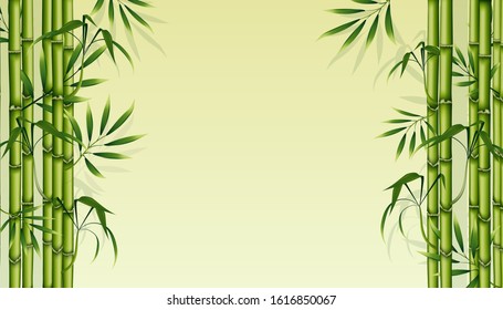 Bamboo background. Green floral illustration for business advertising. Natural banner to insert text. Vector illustration
