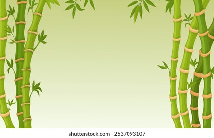 Bamboo background with green stalks. Natural plant banner with empty space. Asian bamboo sticks with leaves, decorative frame neoteric vector design