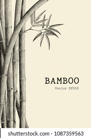 Estilo de grabado con fondo de bambú