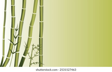 Bamboo background minimalism vector natural color
