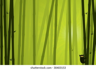 Bamboo Background. Nature Background Series.