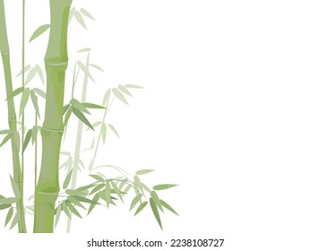Bamboo background. Oriental image. Copy space.