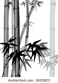bamboo background with place for your text