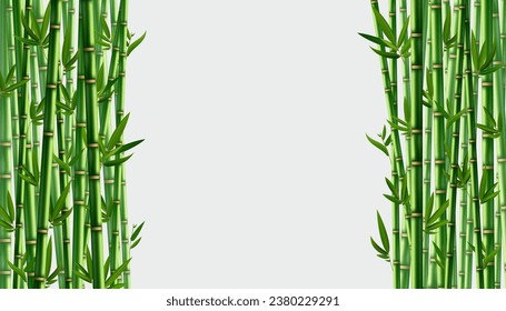 Bamboo background. Realistic banner with place for text. Green trees with leaves. Flower borders, Japan, China. Natural decoration print template, vector tropical forest in Asia.
