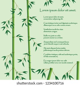 Bamboo background with space for text. Vector.