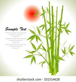 Bamboo background and sun, vector illustration