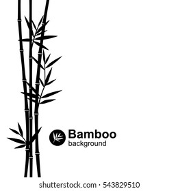 Bamboo background. Vector