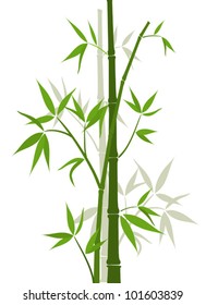 Bamboo background, vector illustration