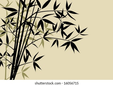 Bamboo background, vector illustration