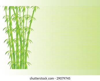 Bamboo background, vector illustration