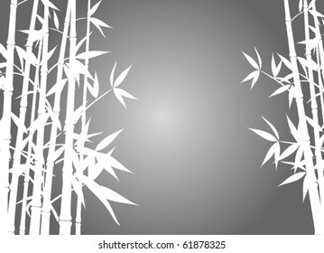 Bamboo background, vector illustration