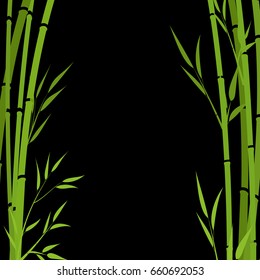 Bamboo background, vector illustration.