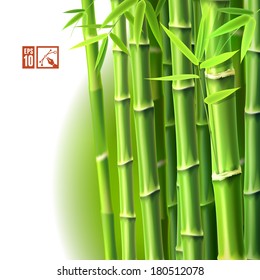 Bamboo Background. Vector illustration, eps10.