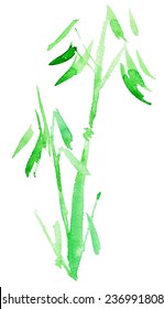 Bamboo background. Watercolor hand drawn. Vector illustration
