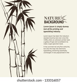 Bamboo banner set. Vector illustration, contains transparencies, gradients and effects.