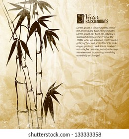 Bamboo banner set. Vector illustration, contains transparencies, gradients and effects.