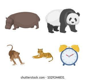 Bamboo bear, hippopotamus, wild animal tiger, monkey . Wild animal set collection icons in cartoon style vector symbol stock illustration web.