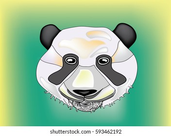 bamboo bear on a green background