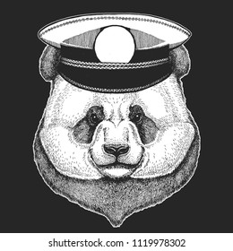 Bamboo bear, panda. Vector print for children. Capitan, pirate animal. Brave sailor. Design for kindergarten, school kids clothing, t-shirts. Panda bear. Bamboo bear.