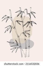 Vector de arte mural botánico de bambú. Esbozo de dibujo de la línea boho de la caña india con forma abstracta. Ilustración diseño de arte de planta de fondo para papel de pared, impresión, cubierta, mínimo, arte de pared natural.