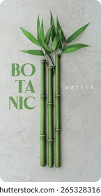 Bamboo branch with botanic matter text. Art, graphic, isolated, vector