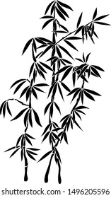 bamboo branch China plant vector