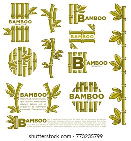 Bamboo branch leaf vector icons template