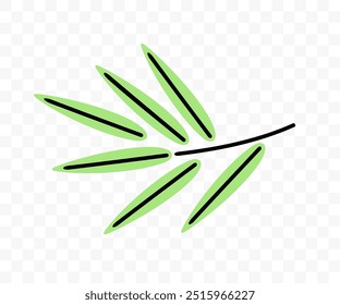 Bamboo, bamboo branch and leaves, graphic design. Plant, leaf, nature and forest, vector design and illustration