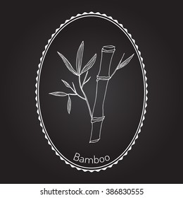 Bamboo branch with leaves. Hand drawn botanical vector illustration