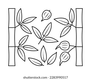 Bamboo branches and bamboo fruit vector line icons. Nature and ecology. Bamboo, leaves, plant, icon, drawing, fetus and more. Isolated collection of line icons bamboo branches on white background.