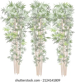 ramas de bambú para la decoración interior