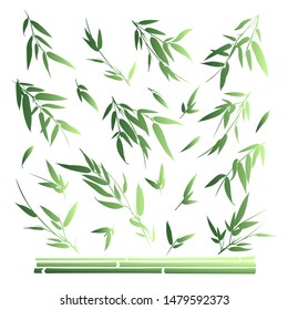 Bamboo branches isolated on white background. Vector illustration.