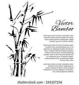 Bamboo branches isolated on the white background. Vector illustration
