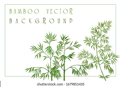 Bamboo branches isolated watercolor vector illustration. Green rainforest tree branches and leaves. Jade green bamboo plant background. Fresh stems with leaves, tropical rainforest twigs, branches