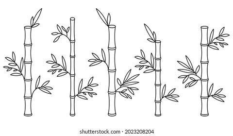 Bamboo branches and leaves elements collection. Asian trees silhouette isolated set. Different shapes of East flora in cartoon design.