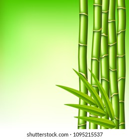 Bamboo branches on green photo realistic vector background