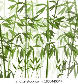 Bamboo branches on a white background. Bamboo grove vector background. Picturesque wallpaper in Chinese, Japanese style. Graphics in green, mint colors.