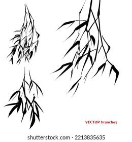 Bamboo branches painted in ink on a white background. Vector illustration