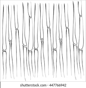 Bamboo brush by hand drawing Japanese motif