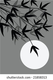 Bamboo B&W