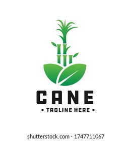 Bamboo And Cane Green Logo Design