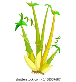 Bamboo Cartoon For Your Design